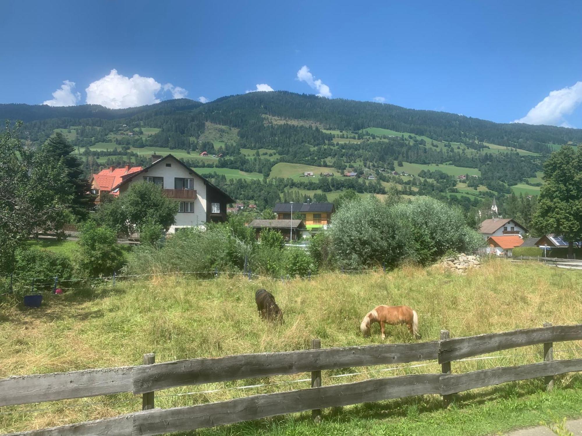Kreischberg Superior With Sauna Sankt Lorenzen ob Murau Dış mekan fotoğraf