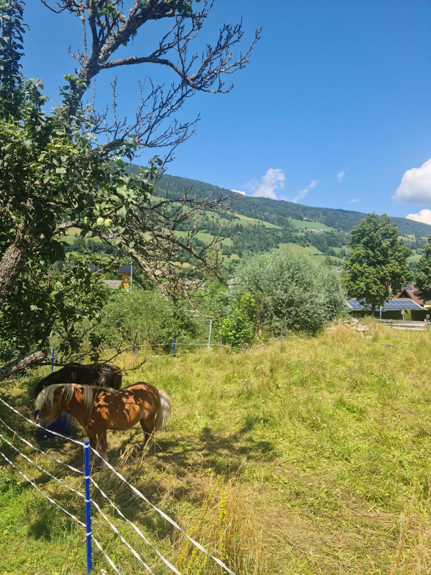 Kreischberg Superior With Sauna Sankt Lorenzen ob Murau Dış mekan fotoğraf